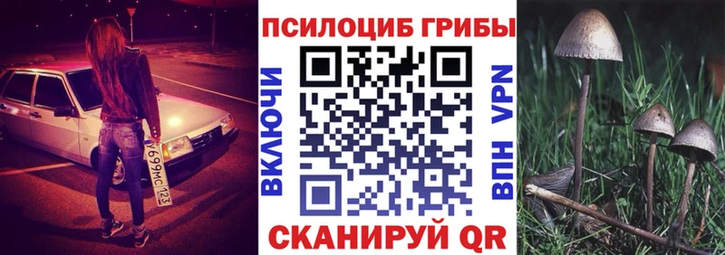 kraken как зайти  Южно-Сахалинск  Псилоцибиновые грибы Psilocybe 