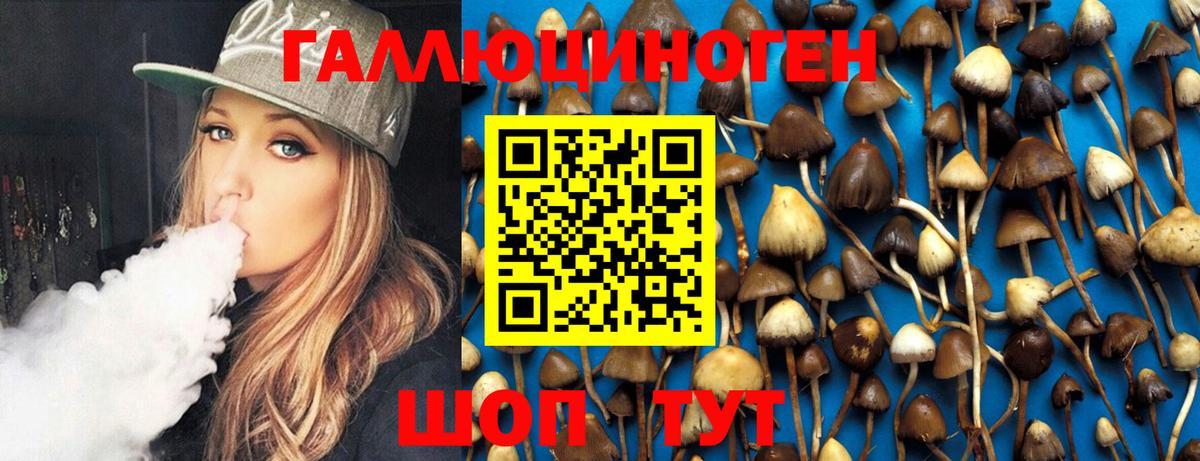 Псилоцибиновые грибы Psilocybe  Вход с VPN  Южно-Сахалинск 